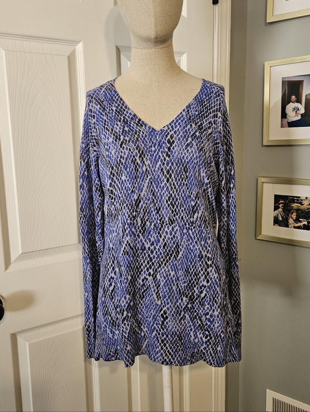 Blue Snake-Print V-Neck Women's Sweater